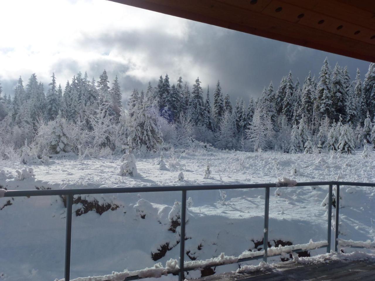 Little Black Bear Lodge/b&b