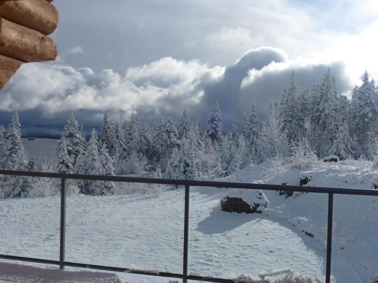 Little Black Bear Lodge/b&b Couette-café *
